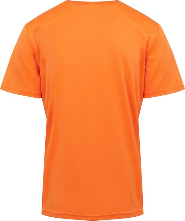 Actual product image Regatta Mens Fingal VIII Cycling T-Shirt (S)