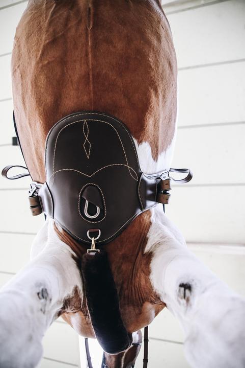Produktbild Kentucky Horsewear Reitlatzgurt kurz