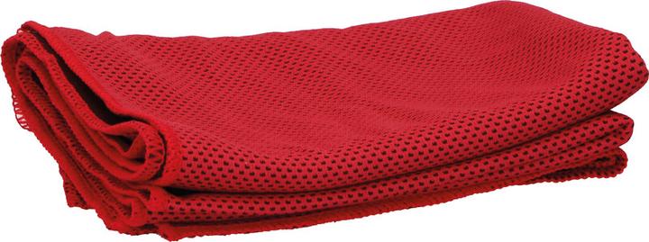 Actual product image Dunlop Cooling towel 30x90cm (90 x 30 cm)