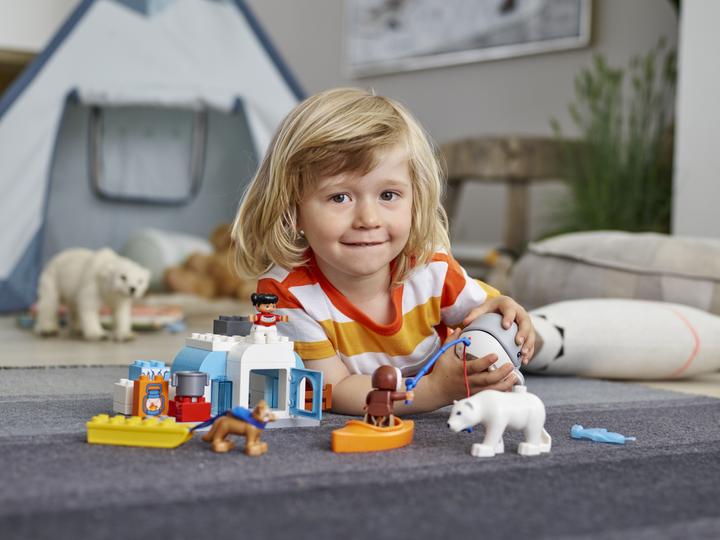 Actual product image LEGO Arktis (10803)