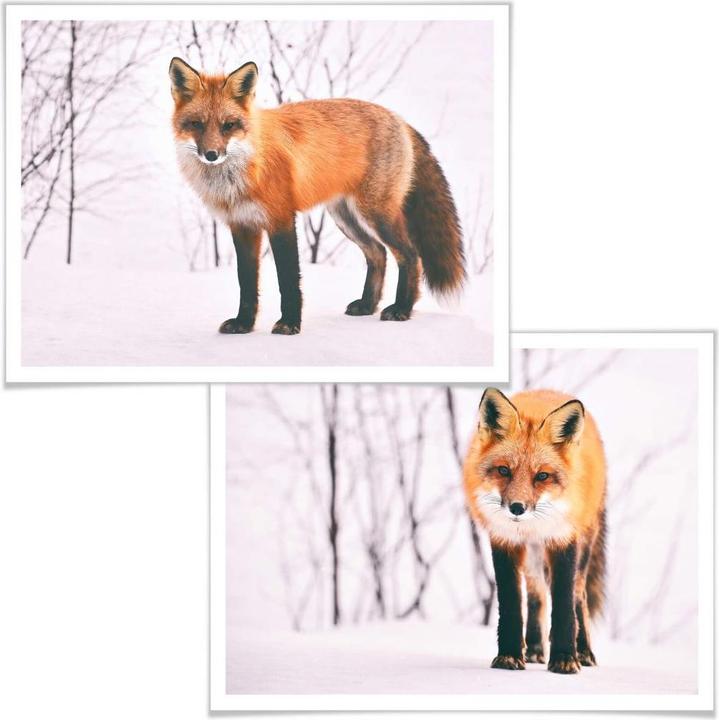 Immagine prodotto Trenddeko Volpe nella neve - 2 pezzi (80 x 60 cm)