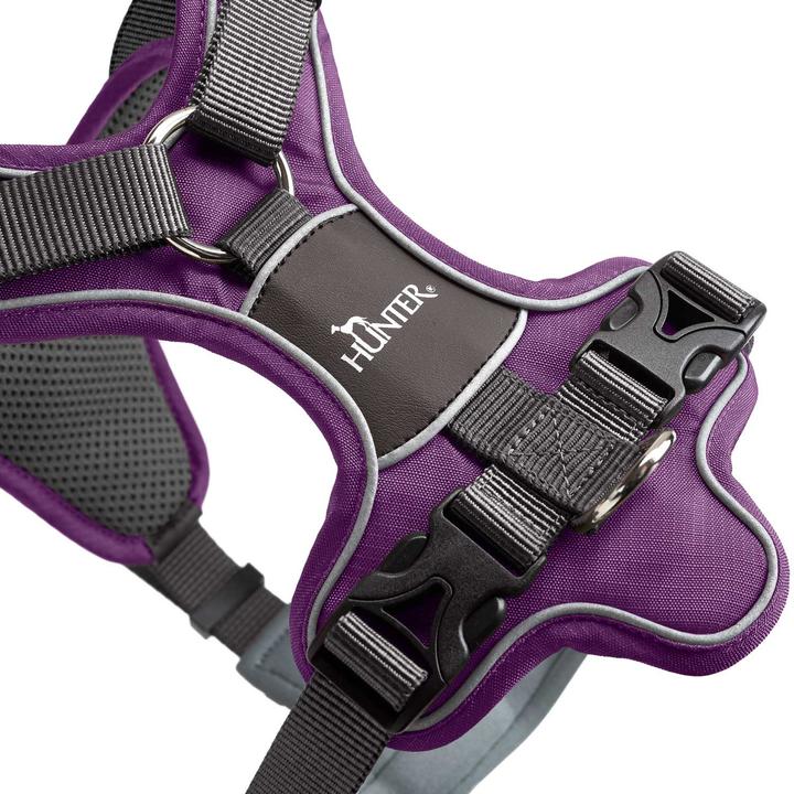 Actual product image Hunter Divo tableware (M, Dog, General, Walks)