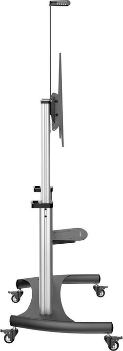 Produktbild StarTech STNDMTV100 TV-Halterung (100 Zoll) (100", 100 kg)