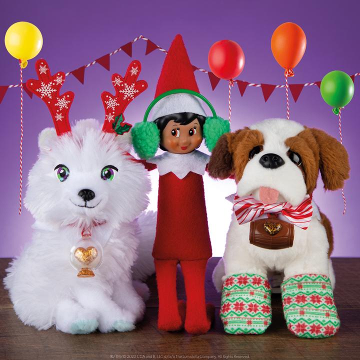 Actual product image Elf on the Shelf Elf & Pet Accessories - Party Set