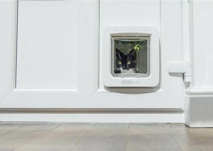 Actual product image SureFlap Connect (Microchip Cat Flap)