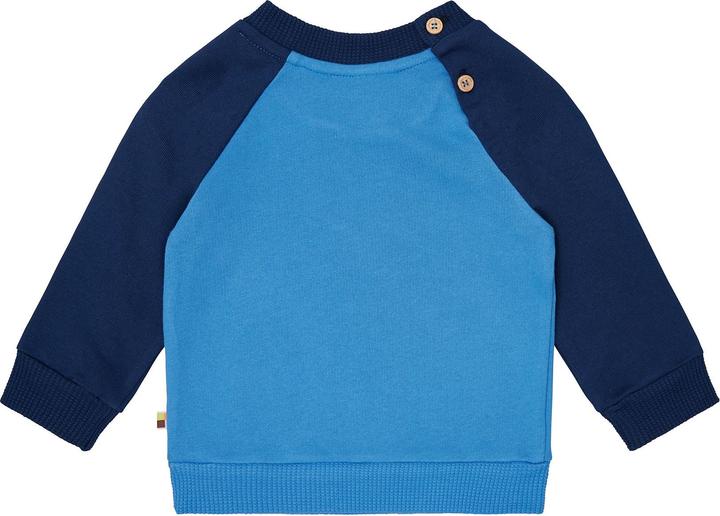 Image du produit loud + proud Sweat-shirt à manches raglan (62)