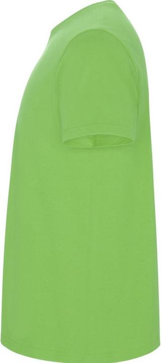 Actual product image Alpinia Mens Stafford T-Shirt (XXL)