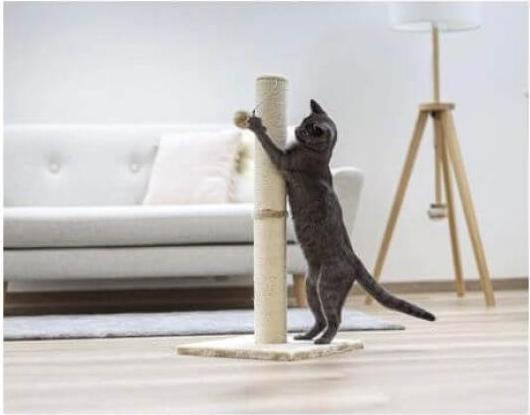 Image du produit Kerbl Opale (78 cm, Beige)