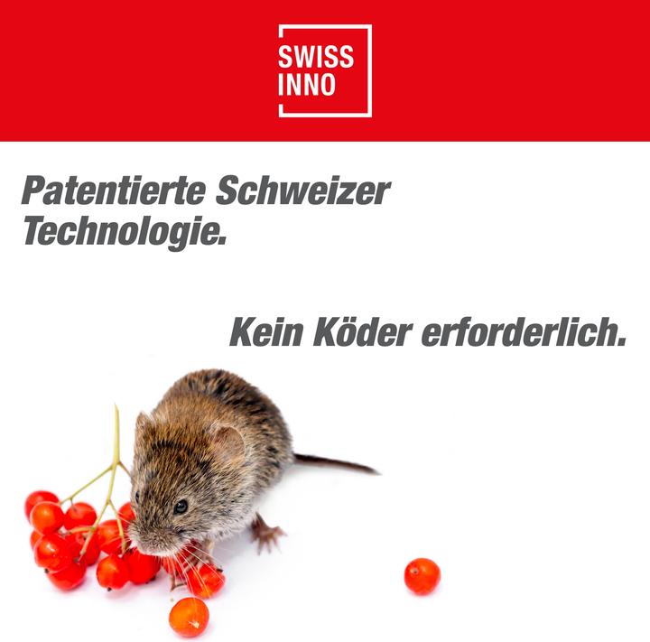 Actual product image Super Cat Wühlmaus-Falle SuperCat 1er