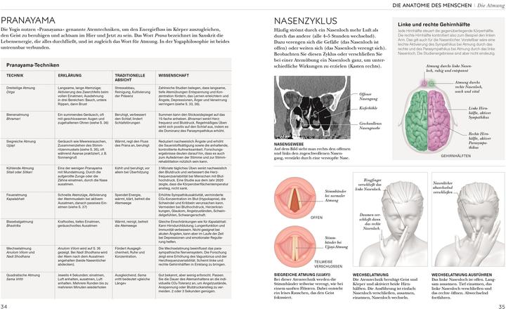 Actual product image Yoga verstehen - Die Anatomie der Yoga-Haltungen (German, Ann Swanson, 2024)