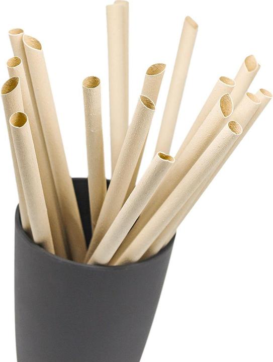 Actual product image Pandoo Bamboo disposable straw 50st (1 x)