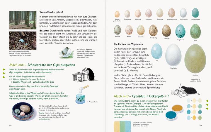 Actual product image Wawra's Naturbuch, Band 1: Säugetiere, Vögel, Reptilien, Amphibien (German, Johannes Wawra, Ursula Wawra, 2020)