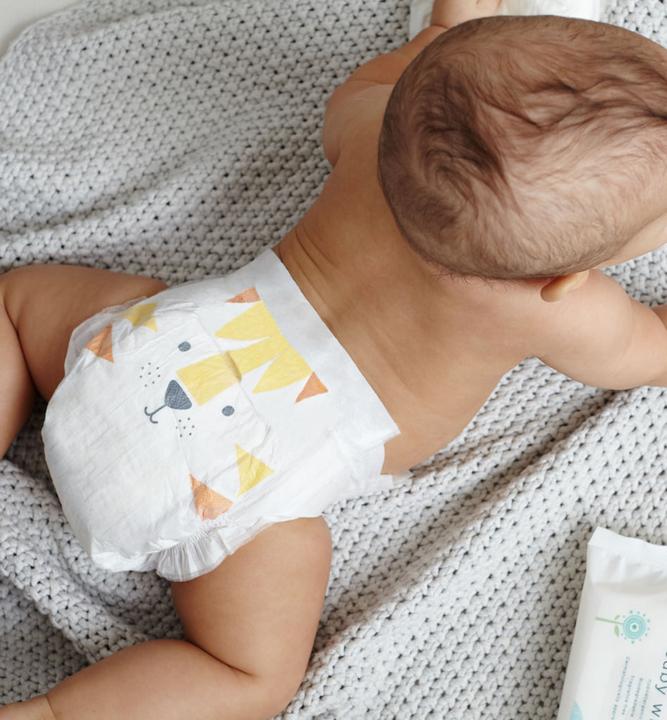 Actual product image Kit & Kin Nappies (Size 3, Pack, 34 Piece)