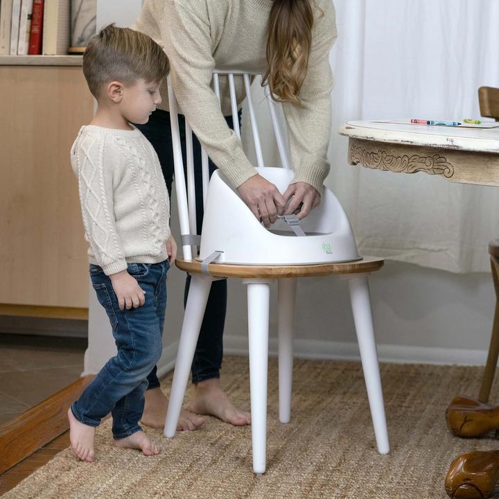 Actual product image Ingenuity Simplicity Seat™ Easy-Clean Booster (High chair booster seat)