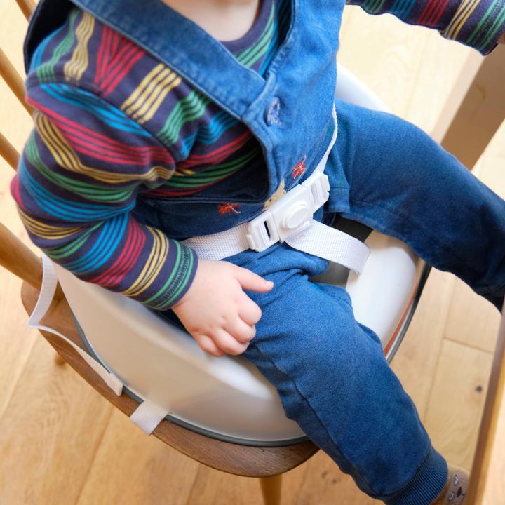 Actual product image Prince Lionheart Booster seat Squish (High chair booster seat)