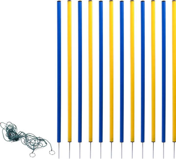 Actual product image Dobar Slalom set (Agility)