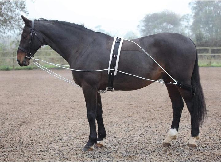 Actual product image Shires Lunging aid
