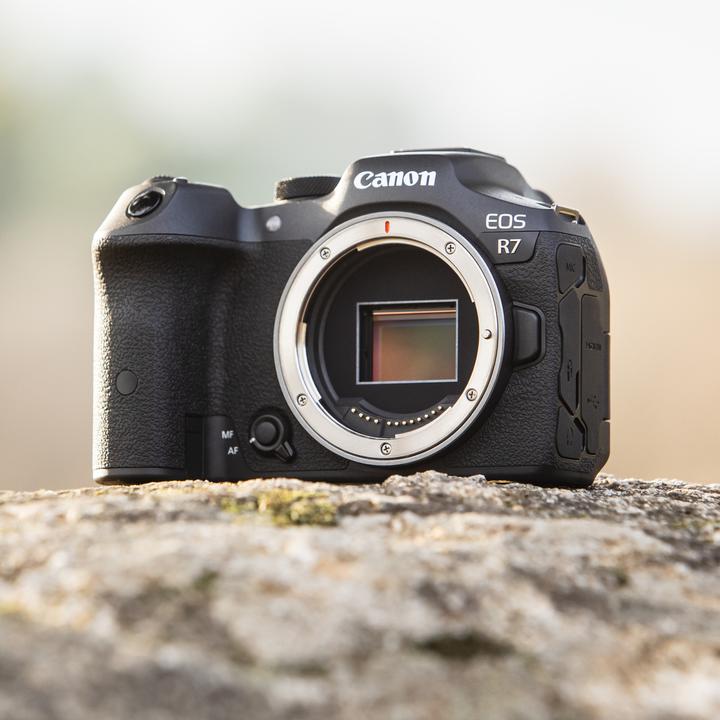 Produktbild Canon EOS R7 (32.50 Mpx, APS-C / DX)