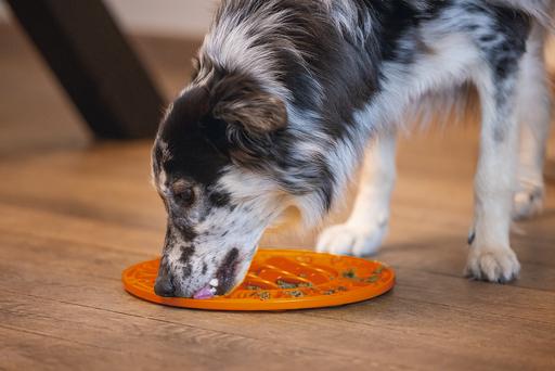 Actual product image Beeztees Sunflower lick mat