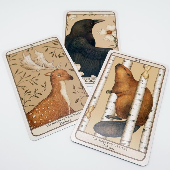 Image du produit Woodland Wardens: 52 Orakelkarten mit Booklet (Allemand, Jessica Roux, 2023)