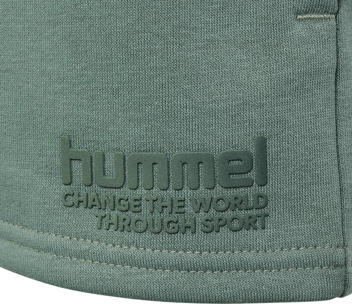 Image du produit hummel hmlPURE SHORTS (104)