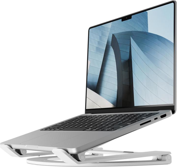 Image du produit TwelveSouth Curve Flex