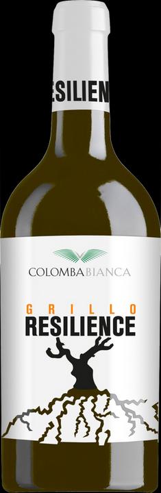 Actual product image Colomba Bianca Resilience Grillo Sicilia DOC (2023)