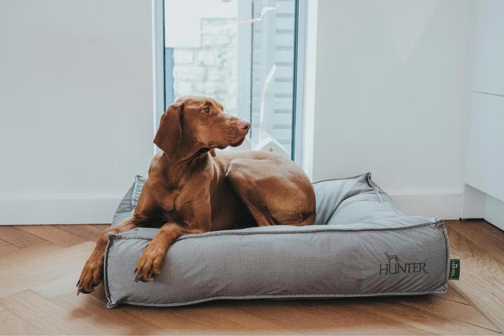 Image du produit Hunter Coussin pour chien Lancaster coton piqué (Chien)