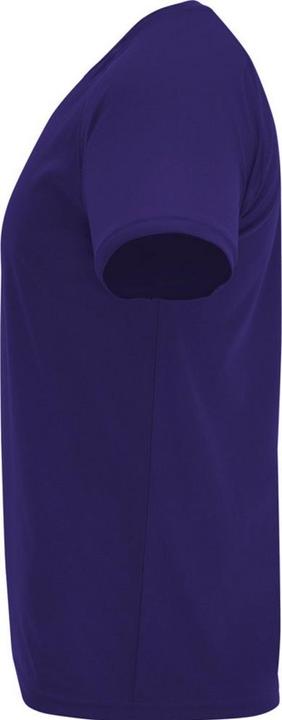 Actual product image Alpinia Mens Bahrain Short-Sleeved Sports T-Shirt (L)