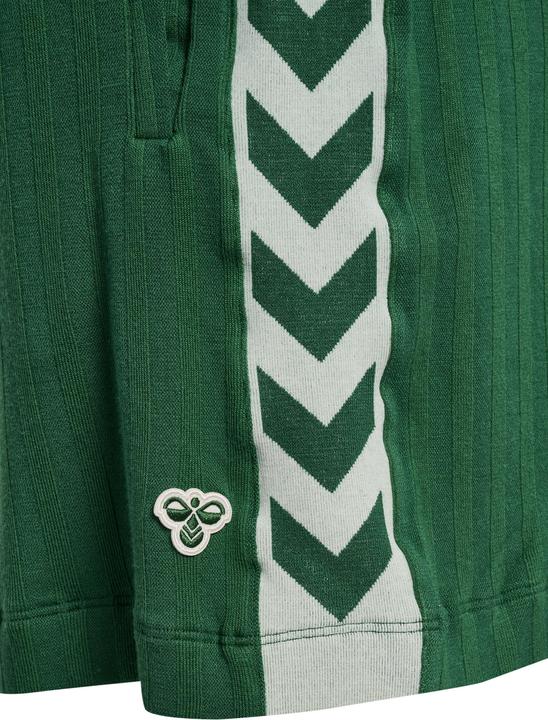 Actual product image hummel Hmlarchive Regular Shorts (S)