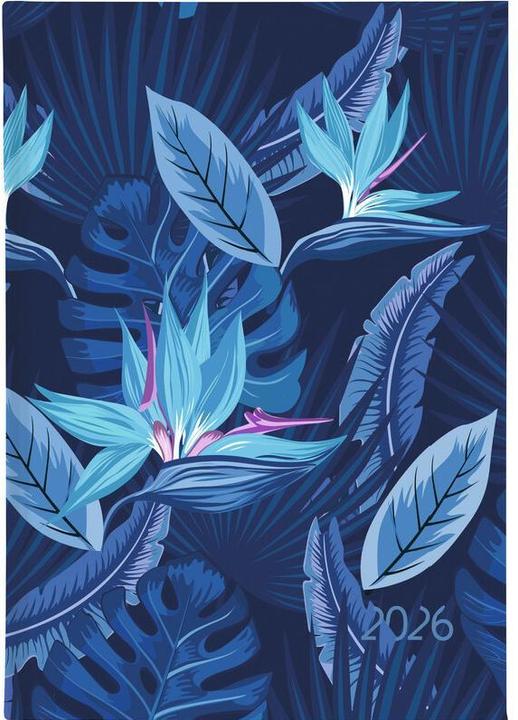 Immagine prodotto Biella Agenda business Dispo Term Trend (14,5 x 20,5 cm)