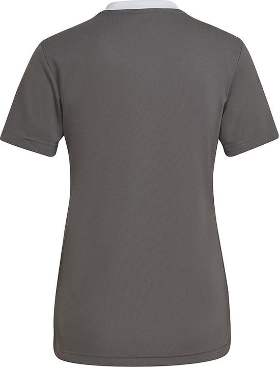 Image du produit adidas Entrada 22 Maillot de football Femme (S)