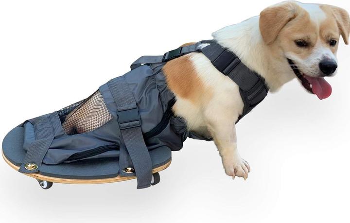 Actual product image DerYEP Dog scooter XXS (XXS, Dog, General)