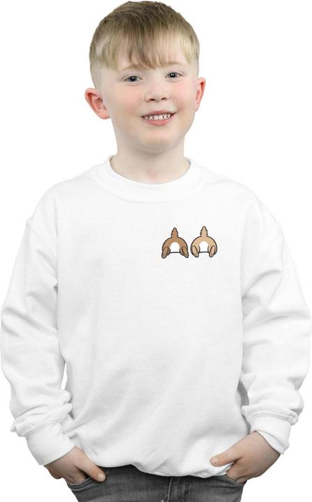 Image du produit Disney - Sweat CHIP N DALE BACKSIDE BREAST PRINT - Garçon (116)