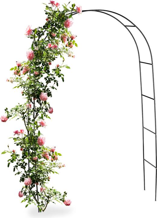 Immagine prodotto Relaxdays Arco di rosa (38.50 cm, 140 cm)