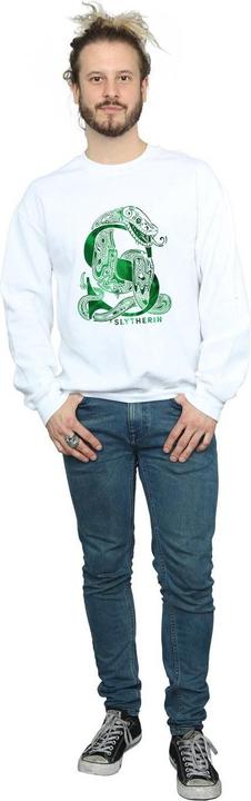 Actual product image Mens Slytherin Snake Sweatshirt (L)