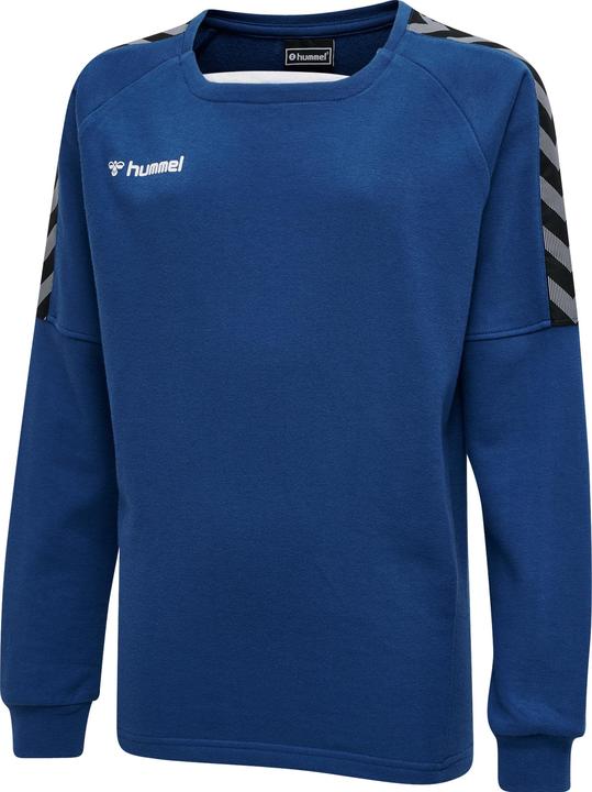 hummel Authentic Kids Training Sweat