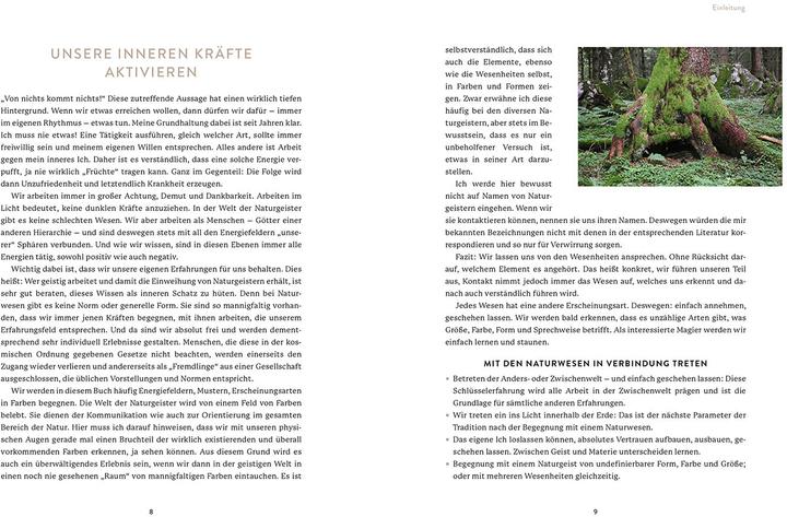 Actual product image Die Welt der Naturgeister (German, Sam Hess, 2022)
