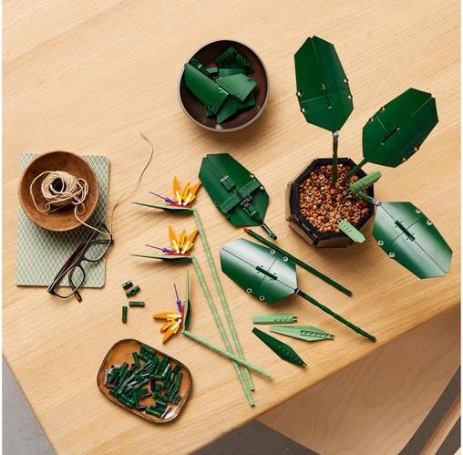 Produktbild LEGO Bird of Paradise (10289, LEGO Seltene Sets)