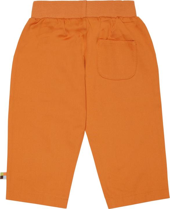Actual product image loud + proud Pants twill (122)
