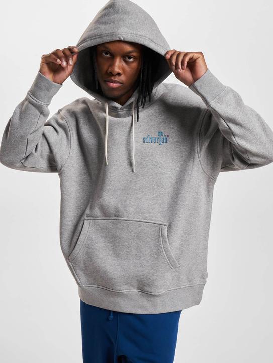 Levis Relaxed Graphic Hoodie - 86897