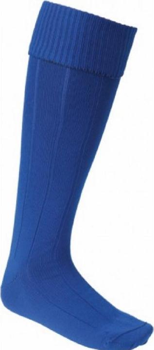 Bleu roi
