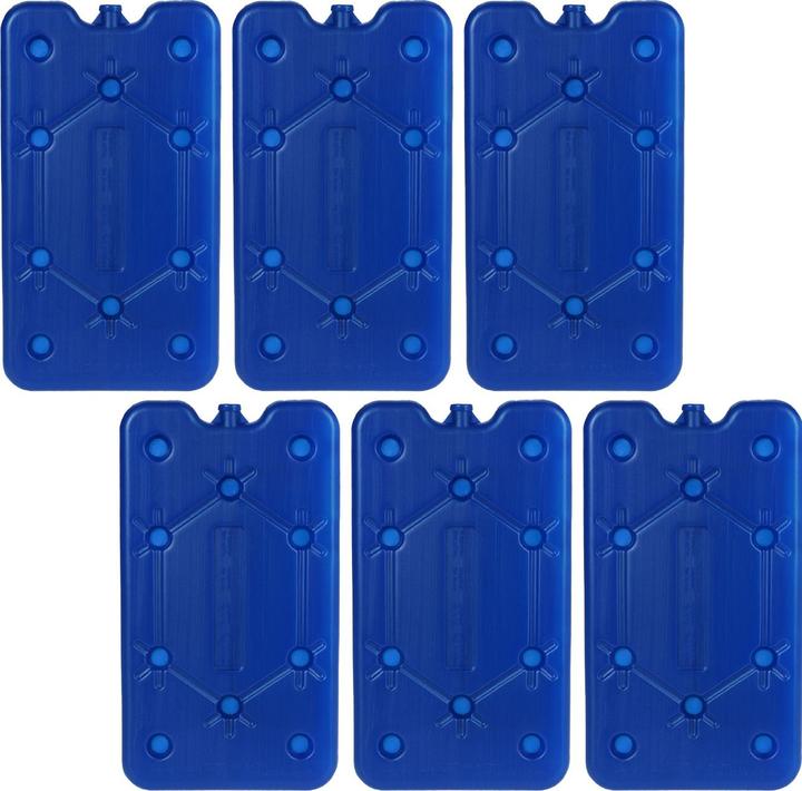 Tajima 6er-Set Kühlakku, 400 ml