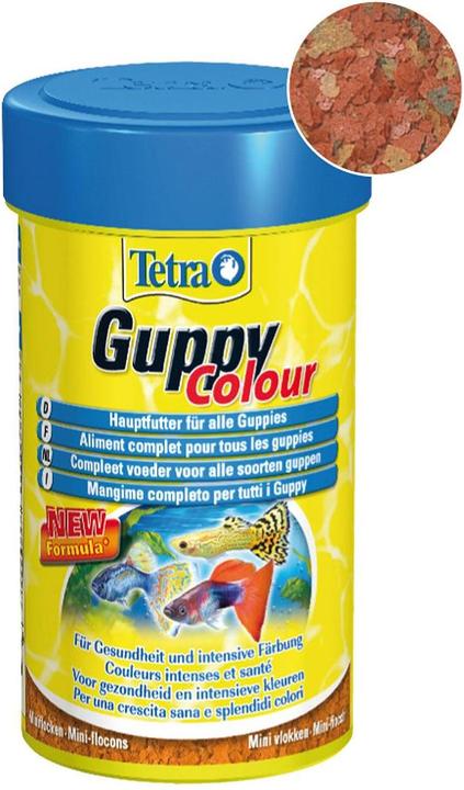 Produktbild Tetra Guppy Colour (Guppys, 100 ml)