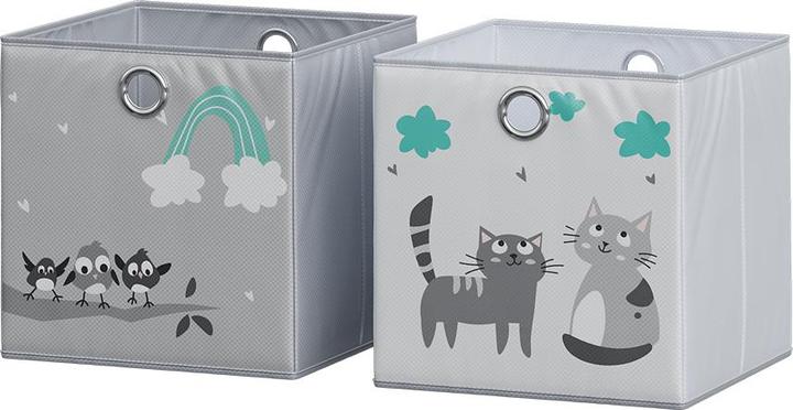 Grau (Katzen & Vögel)
