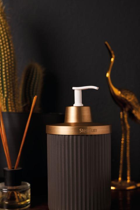 Image du produit Sterillium Protect & Care Emma
