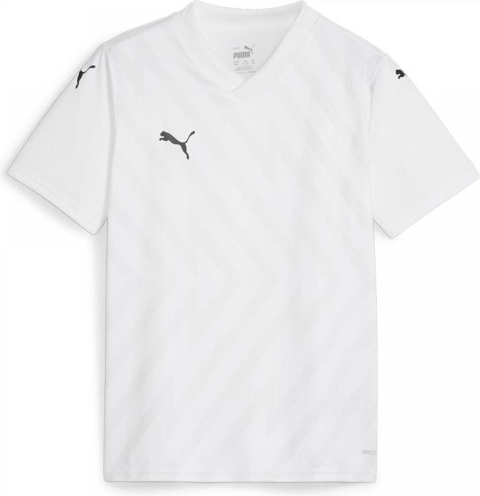 Actual product image Puma teamGLORY Jersey Jr (152)