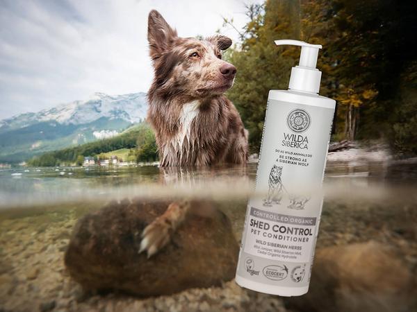 Produktbild Wilda Siberica Shampoo SHED CONTROL, 5 l (5000 ml, Flüssiges Shampoo)
