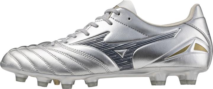 Galaxy Silver, Cool Gray 3C, 8605 C