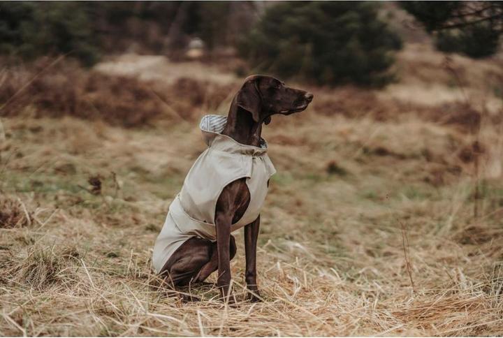 Actual product image Hunter Rain coat Milford (70, Dog raincoat)